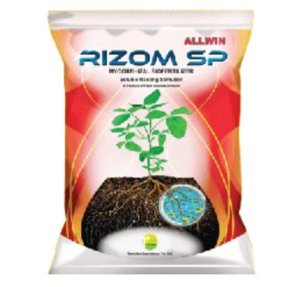 RIZOM SP