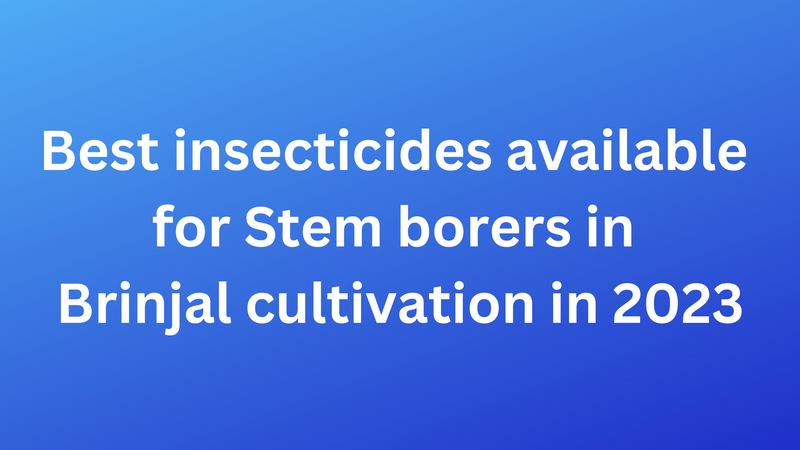 Best insecticides available for Stem borers in Brinjal cultivation in 2023