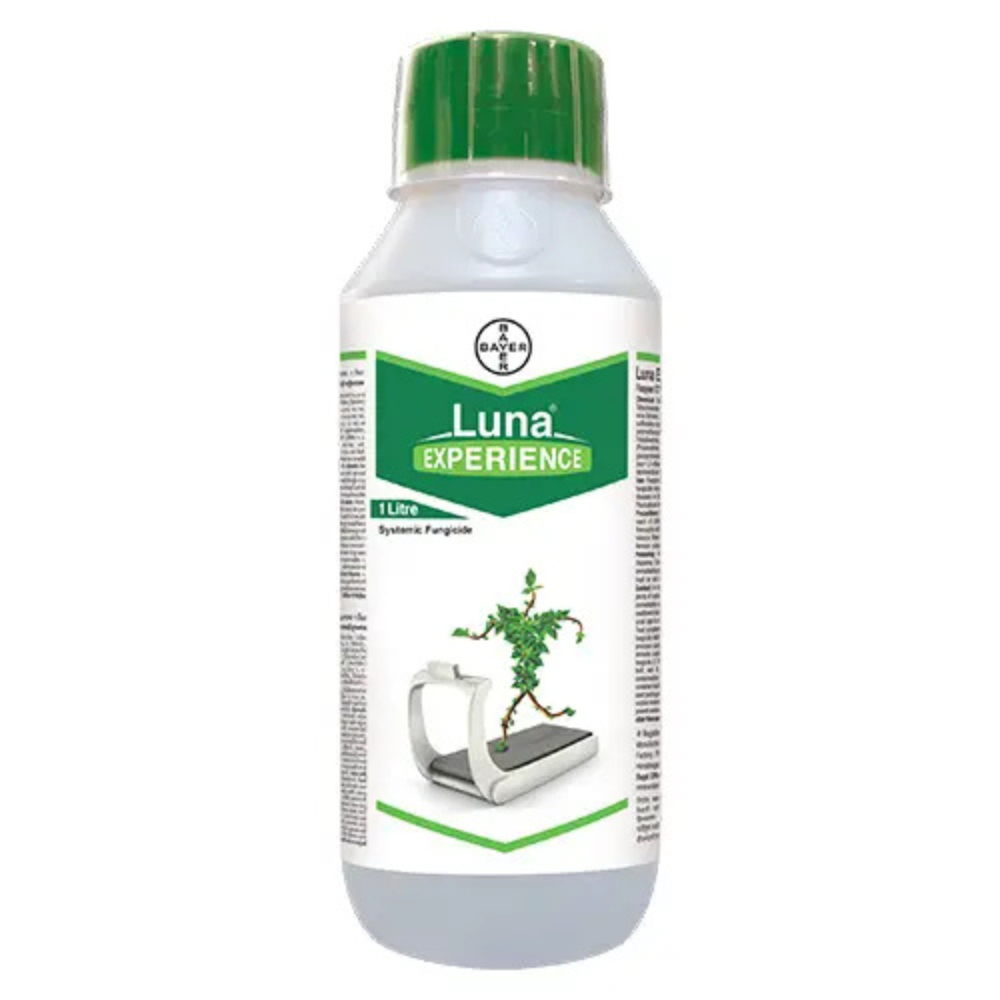 Luna Experience Fungicide - Pradhan Agro