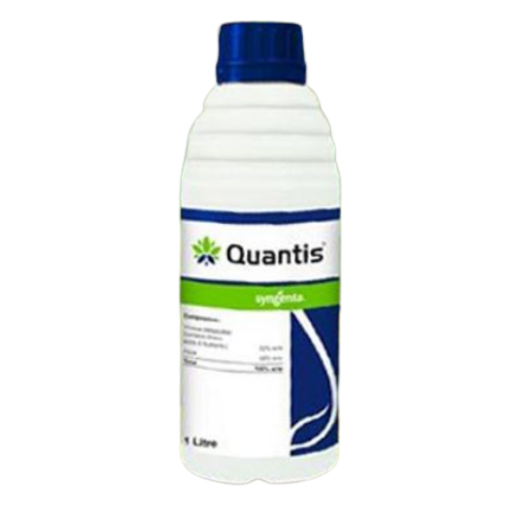 Quantis