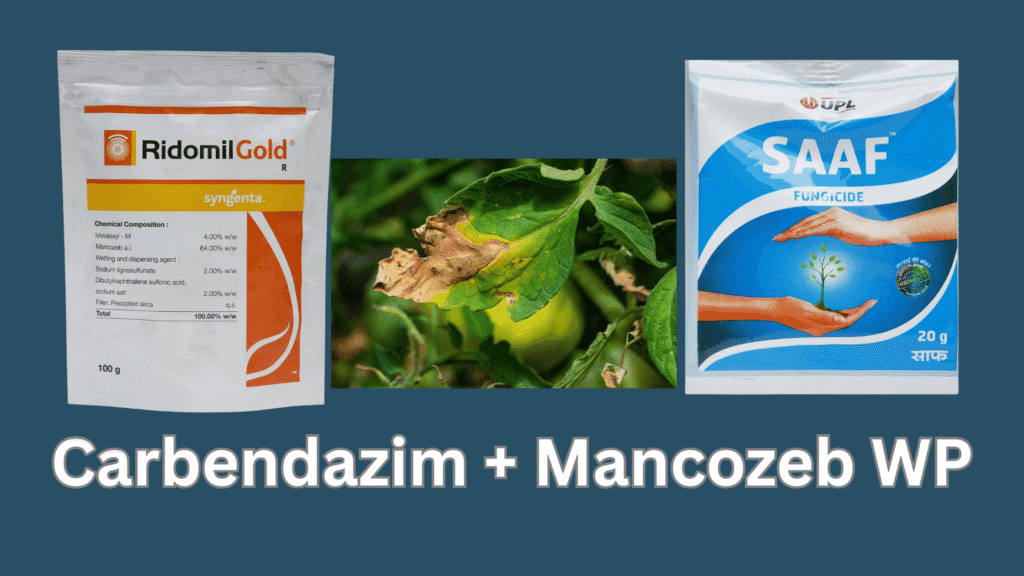 Carbendazim12 Mancozeb63 WP