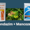Carbendazim12 Mancozeb63 WP