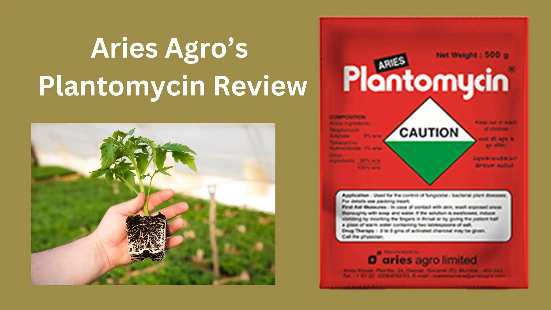Aries Agro’s Plantomycin Review