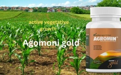 Aries Agromin Gold: Chelated Micronutrients for Crops.