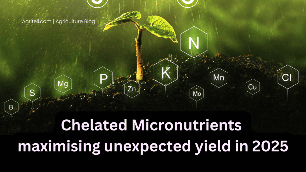 Chelated Micronutrients maximising unexpected yield