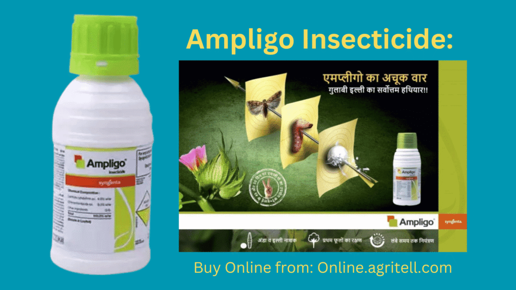Syngenta Ampligo Insecticide
