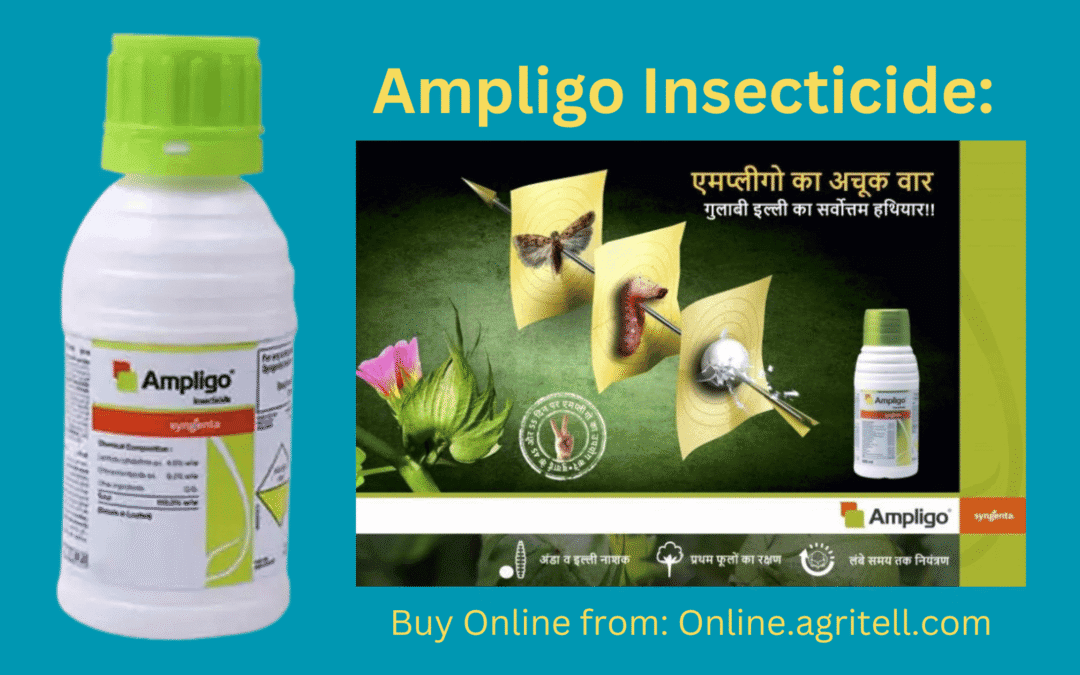 Syngenta Ampligo Insecticide