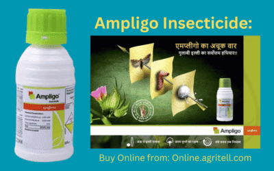 Syngenta Ampligo Insecticide: Complete Protection Against Pests!