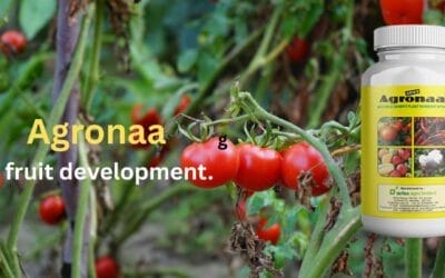 Aries Agronaa- Boost Flowering and Yield with NAA-Based Plant Hormone Spray!