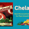 Aries Chelacal