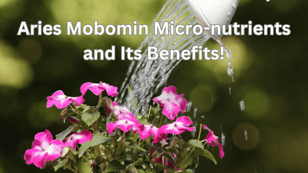 powerful micronutrient supplement