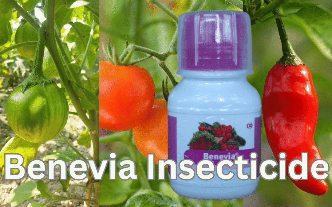 Benevia Insecticide
