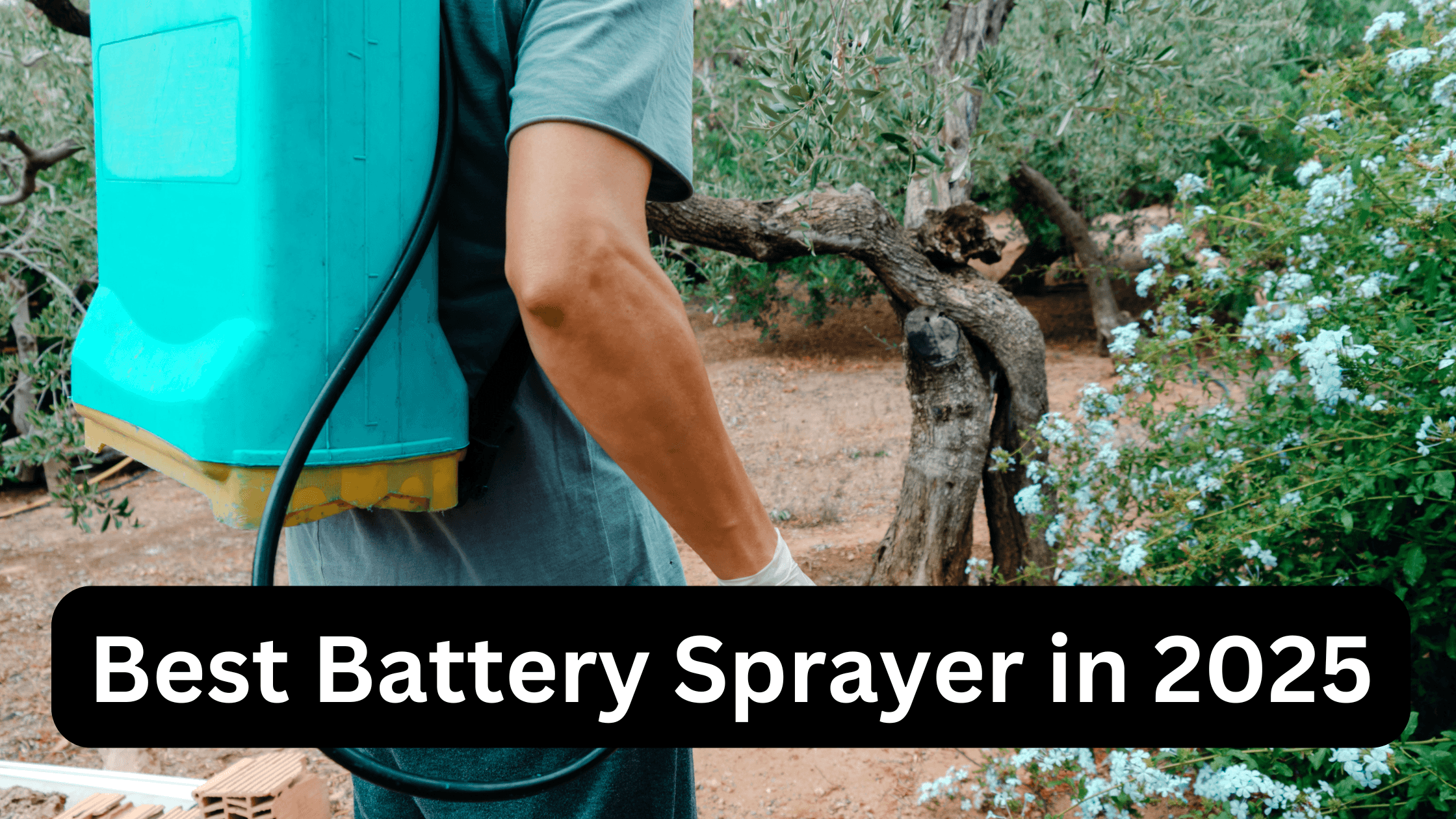Best Battery Sprayer for Agriculture in 2025!