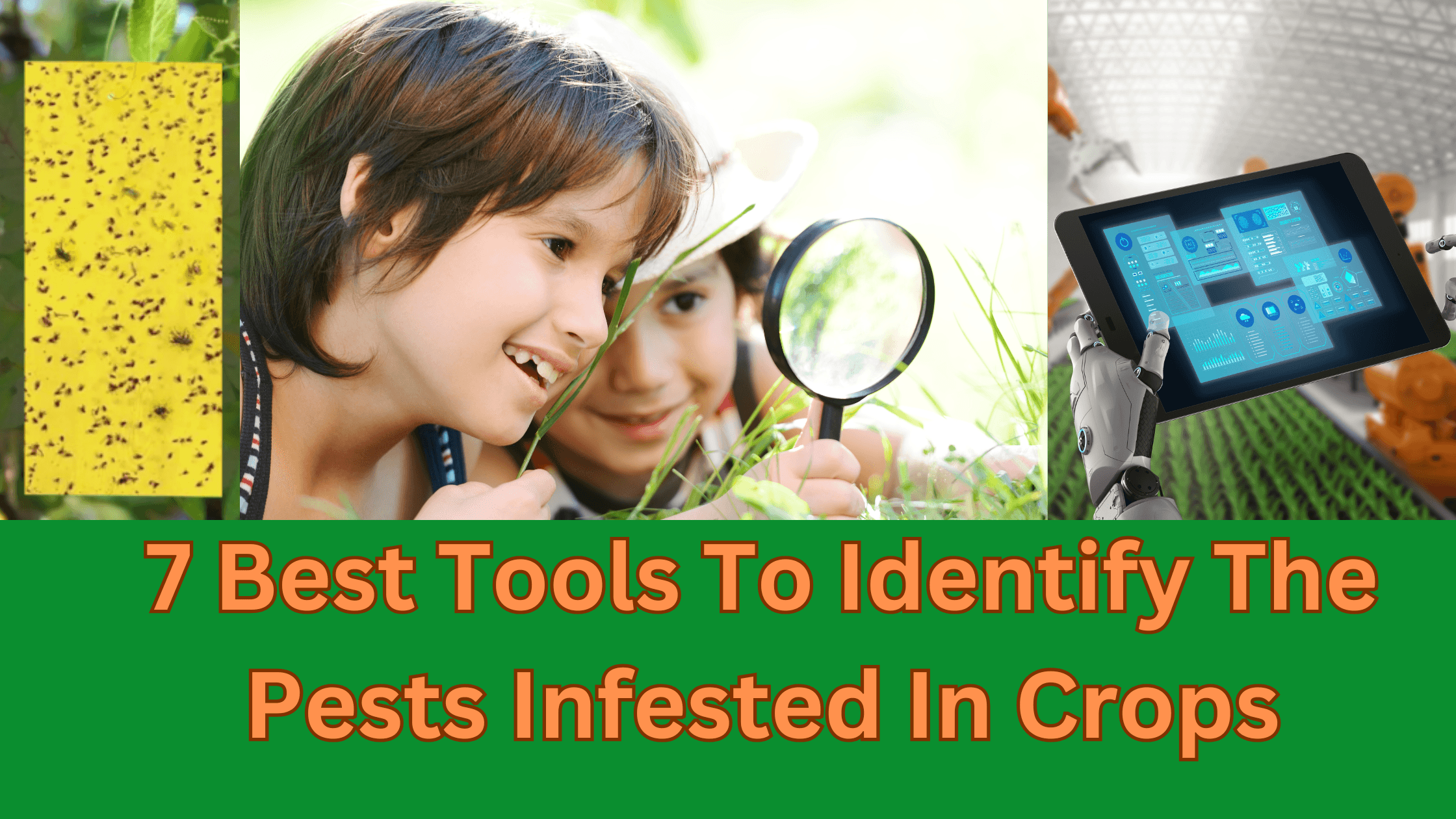 7 Best Tools To Identify The Pests Infested In Crops.