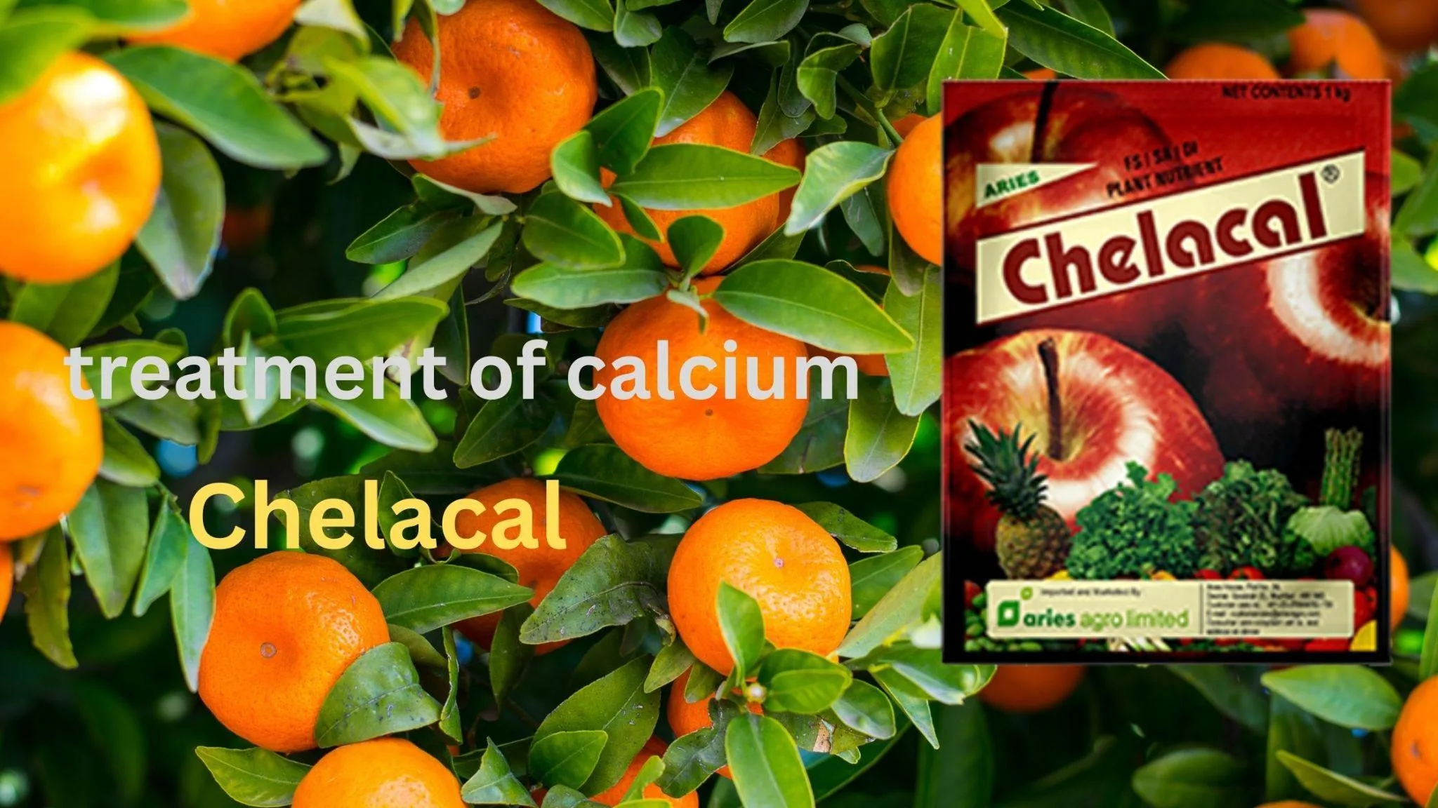 Aries Chelacal uses
