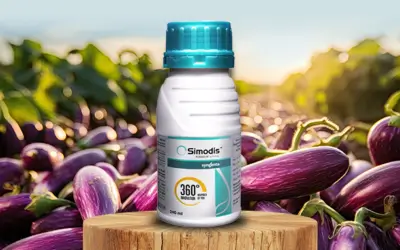 Syngenta’s Simodis: A Broad-Spectrum Insecticide Powered by PLINAZOLIN® Technology.
