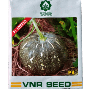 Buy P4 Hybrid Pumpkin Online - Agritell.com