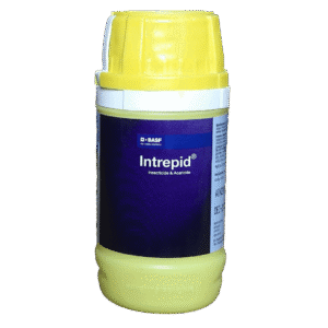 Buy BASF INTREPID (Chlorfenapyr 10% SC) Online - Agritell.com