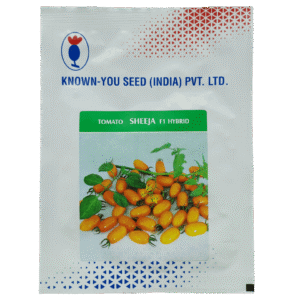 Buy SHEEJA (Cherry Tomato) Online - Agritell.com