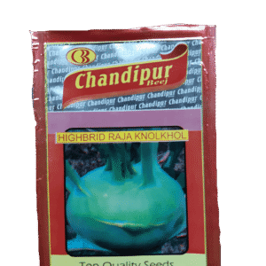 Buy RAJA (Knol Khol) Online - Agritell.com