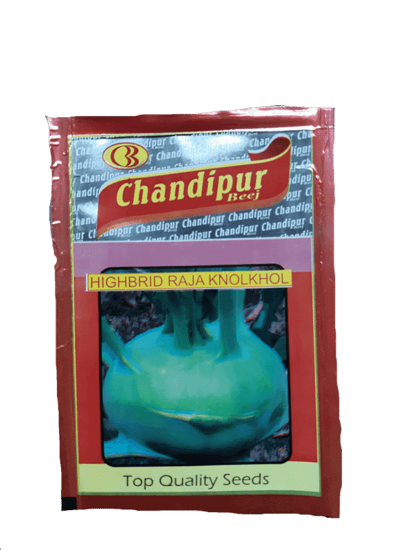 Buy RAJA (Knol Khol) Online - Agritell.com