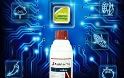 Amistar Top Fungicide: The Ultimate Protector for Your Crops.