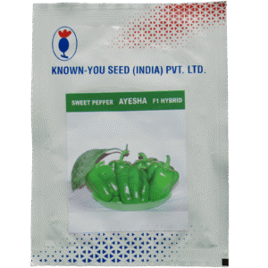 Buy AYESHA (Sweet Pepper) Online - Agritell.com