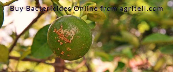 Bactericides