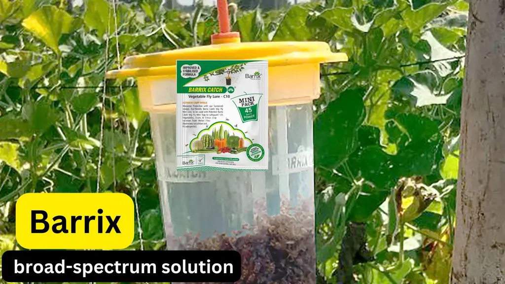 vegetable fly trap