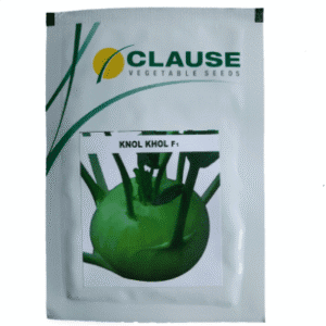 Buy KNOL KHOL F1 Online - Agritell.com