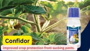 Confodor insecticide