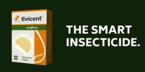 evicent insecticide