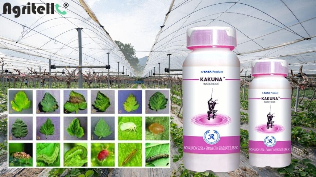 tata kakuna insecticide