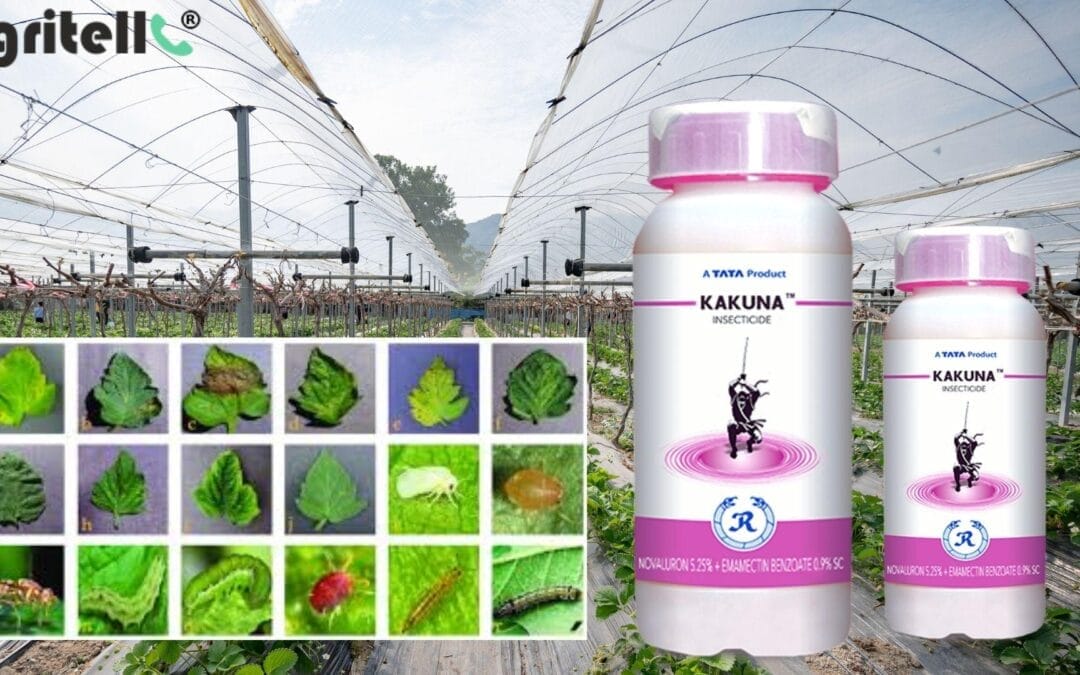 tata kakuna insecticide