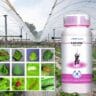 tata kakuna insecticide