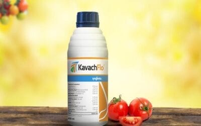 Kavach Flo Fungicide: Your Crop’s Shield Against Fungal Threats