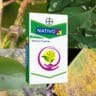 bayer nativo fungicide