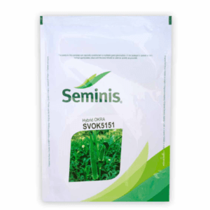 Buy Hybrid OKRA (SVOK5151) Online - Agritell.com