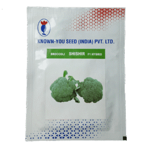 Buy SHISHIR (Broccoli) Online - Agritell.com