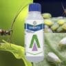 sivanto prime insecticide