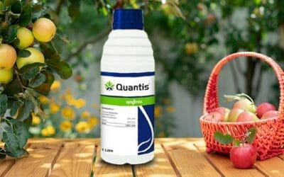 Syngenta Quantis – Crop Enhancement