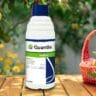 Syngenta Quantis