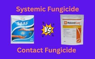 Systemic fungicides and Contact Fungicides List, and their Doses in common plant diseases!