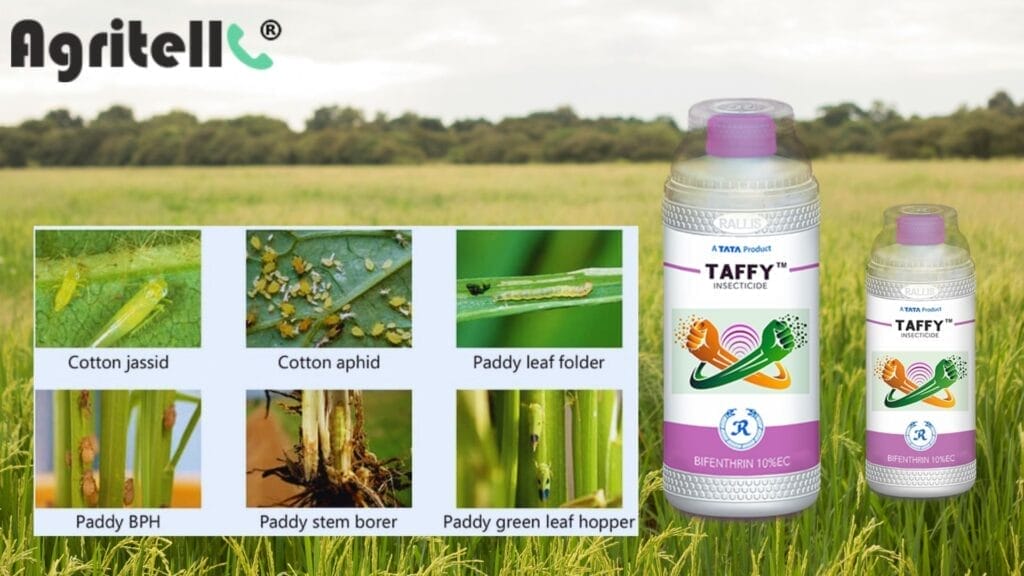 taffy acaricide