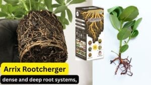 barrix rootcharger