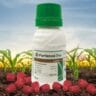 Syngenta fortenza due