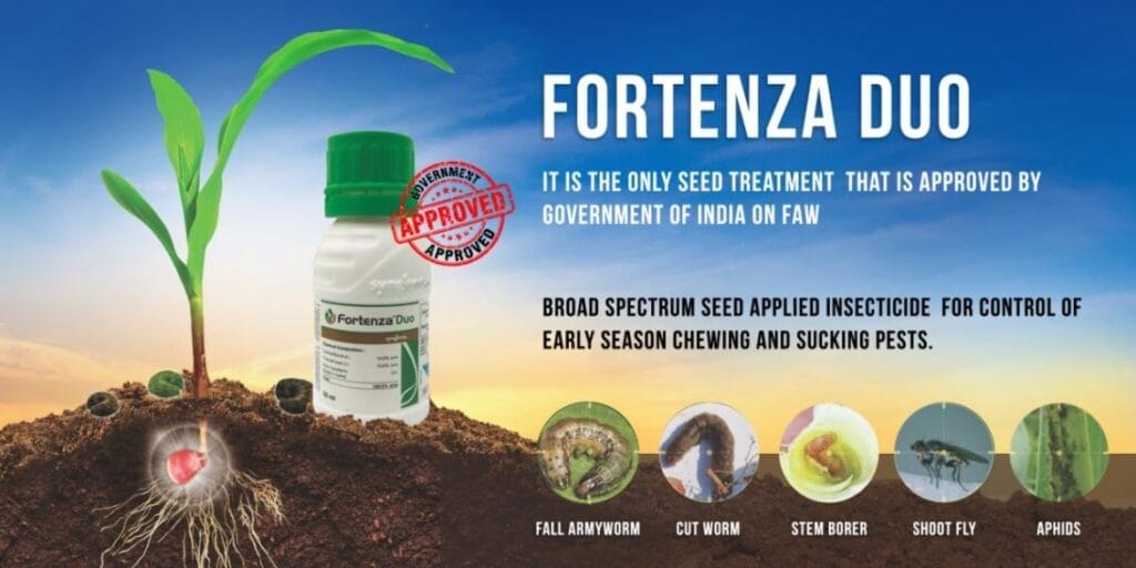 Fortenza Duo