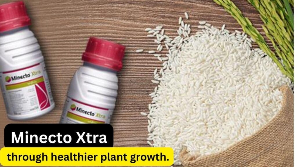minecto xtra insecticide