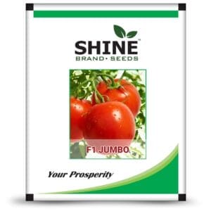 Buy F1 Tomato - Jumbo Online - Agritell.com