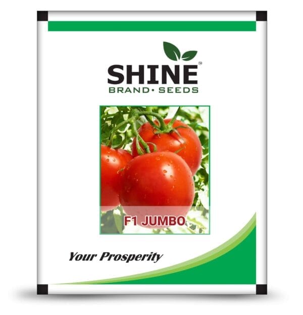 Buy F1 Tomato - Jumbo Online - Agritell.com